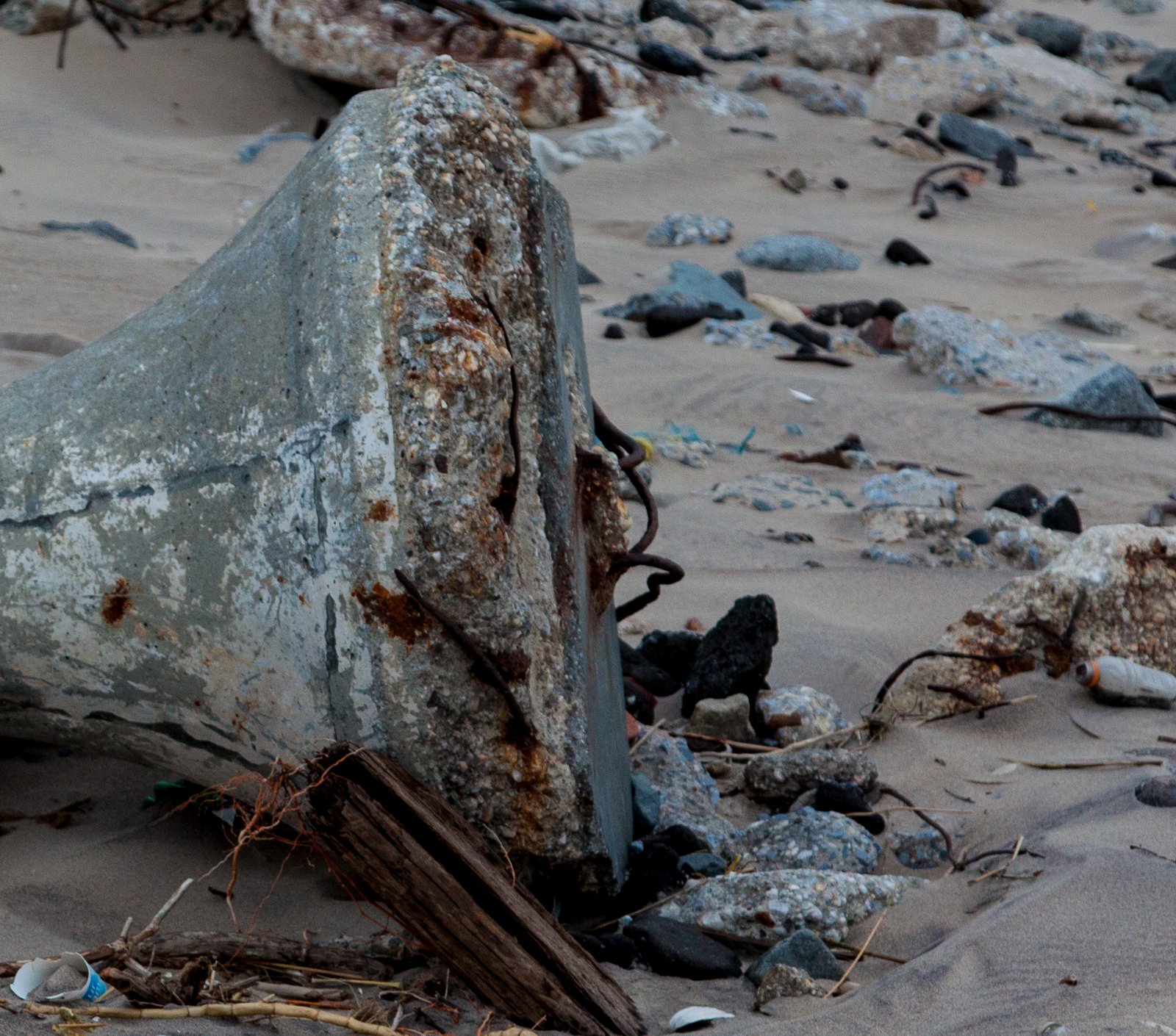 art-of-sandy-mo-seagate 2-57.jpg